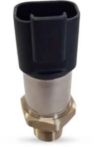 Linha Verde